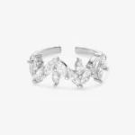 Anello Tigre