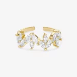 Anello Tigre