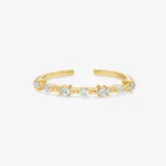 Anello polare